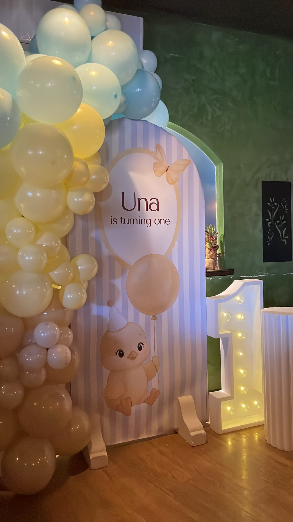 Birthday Bird Backdrop
