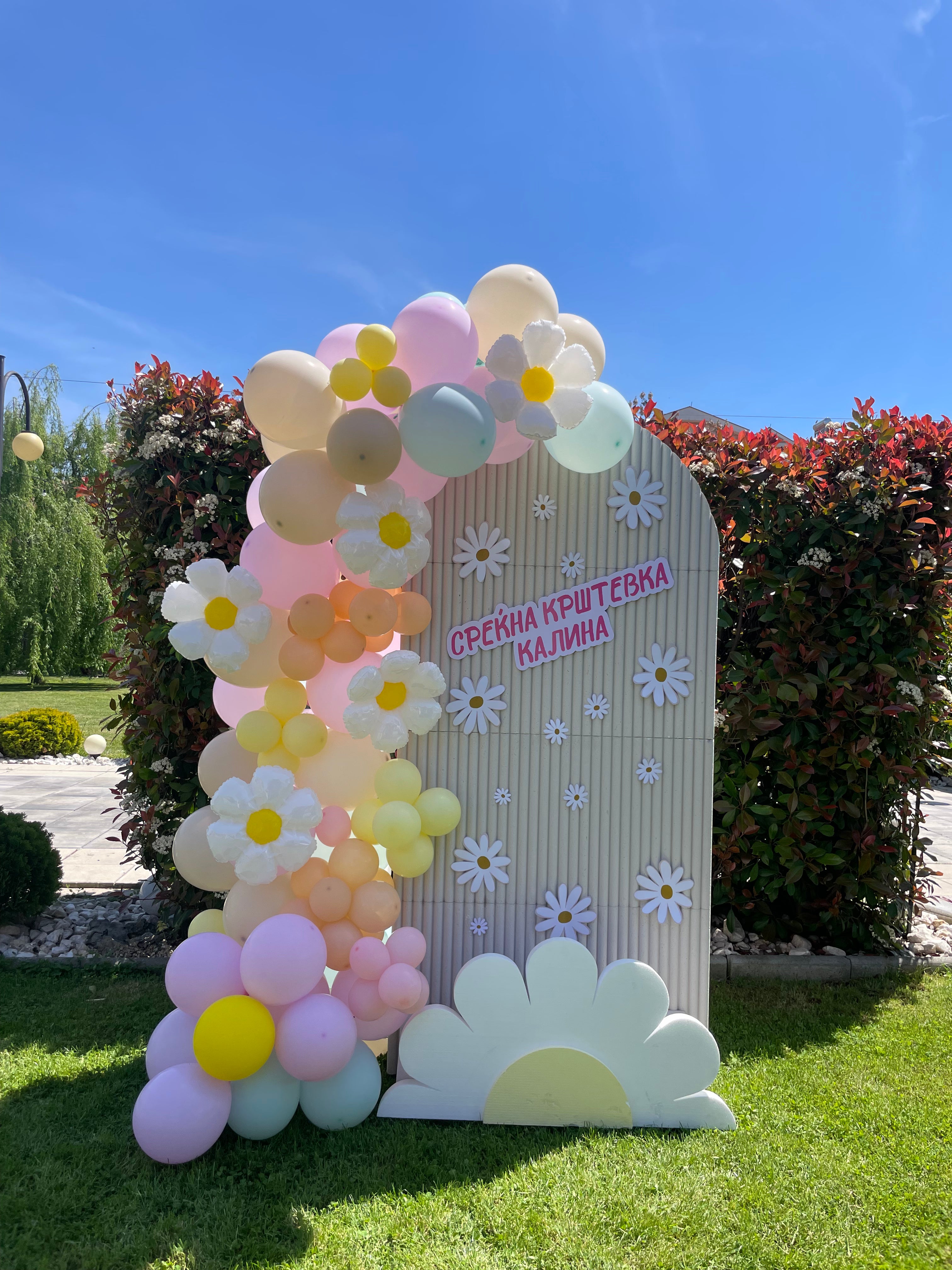 Birthday Daisy Backdrop #2