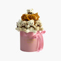 PINK TEDDY BEAR GIFT BOX