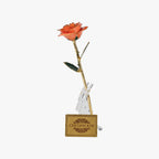 PREMIUM 24K PINK ROSE