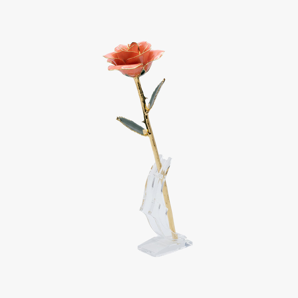 PREMIUM 24K PINK ROSE